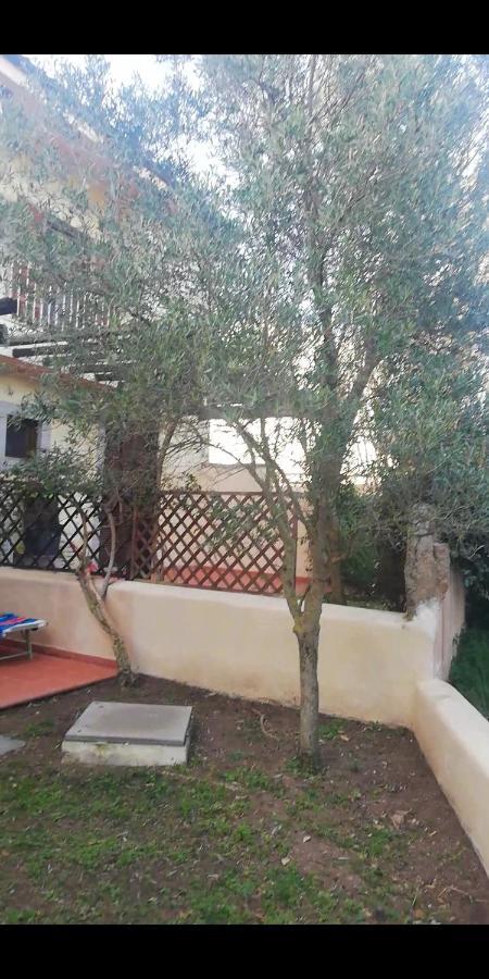 Ferienwohnung Oasiglo La Maddalena  Exterior foto