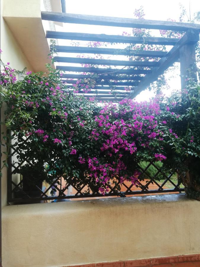 Ferienwohnung Oasiglo La Maddalena  Exterior foto