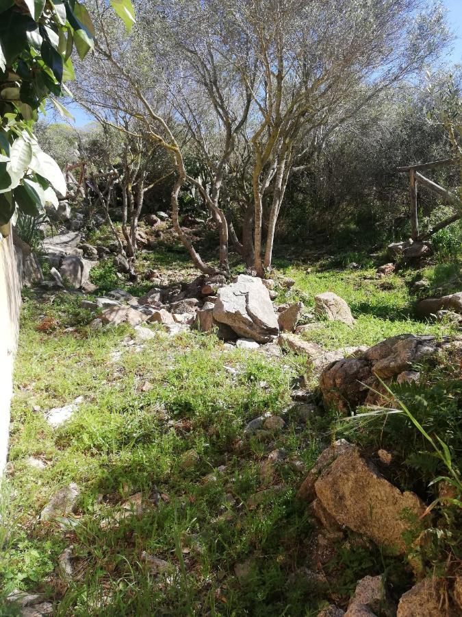 Ferienwohnung Oasiglo La Maddalena  Exterior foto